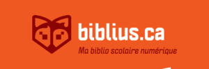 visuel 3 millions d'emprunts